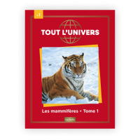 Le N°1 : Les mammifères terrestres